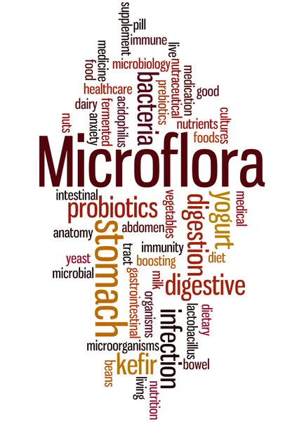 Microflora, concepto de nube de palabras 4 — Foto de Stock