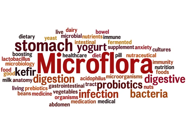 Microflora, conceito de nuvem de palavras 6 — Fotografia de Stock