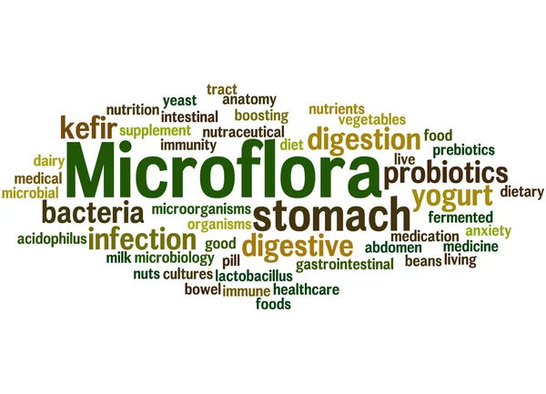 Microflora, concepto de nube de palabras 7 — Foto de Stock