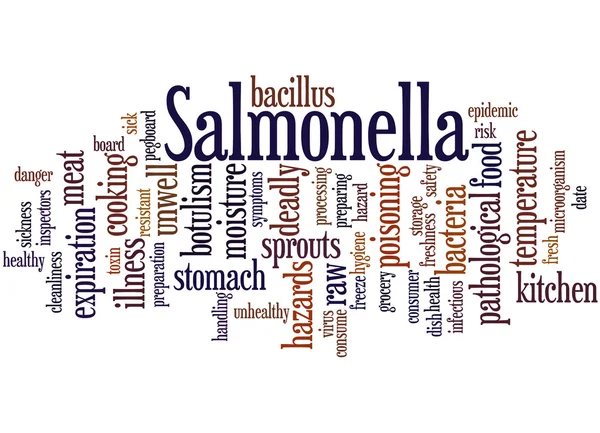 Salmonella, concepto palabra nube —  Fotos de Stock