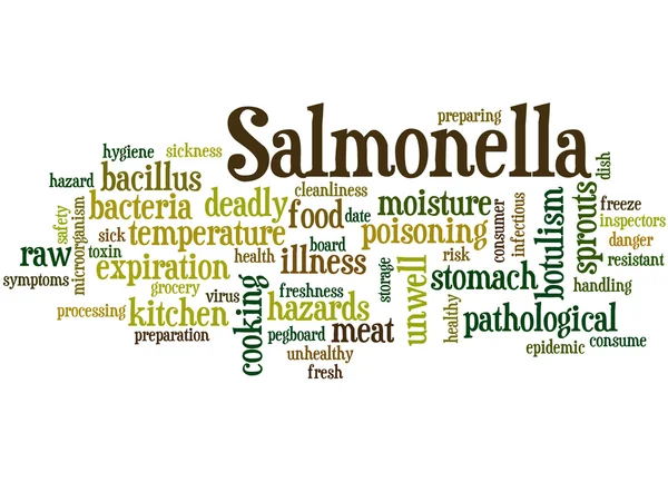 Salmonella, concepto de nube de palabras 4 —  Fotos de Stock