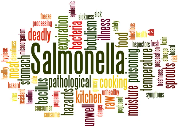 Salmonella, word cloud concept 6 — Stockfoto