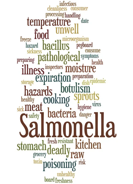 Salmonella, concepto de nube de palabras 8 —  Fotos de Stock