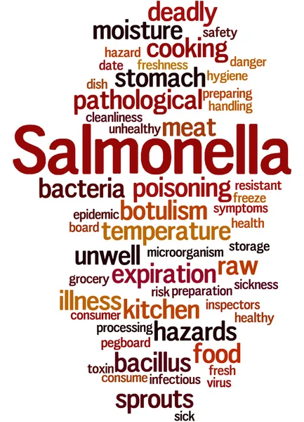 Salmonellen, Wortwolkenkonzept 9 — Stockfoto