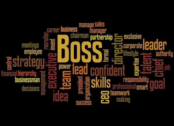 Boss, word cloud concept 7 — Stockfoto