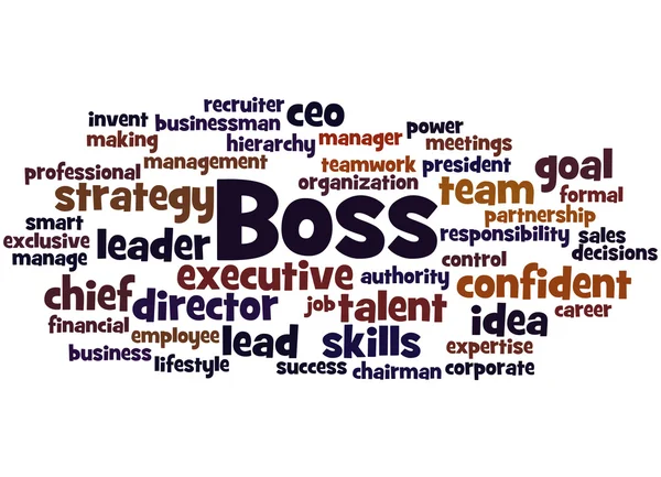 Boss, word cloud concept 8 — Stock Photo, Image