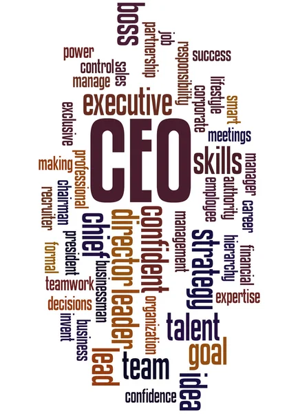 CEO - Chief Executive Officer, word cloud concept 2 — Stockfoto