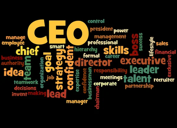 CEO - Chief Executive Officer, word cloud concept 3 — Stockfoto