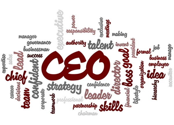 CEO - Chief Executive Officer, word cloud concept 6 — Stockfoto