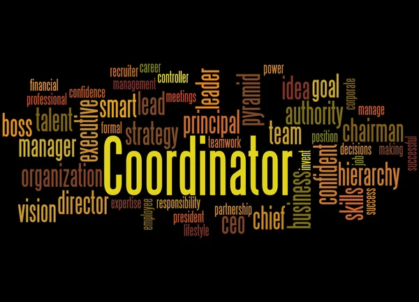 Coordinator, word cloud concept 6 — Zdjęcie stockowe