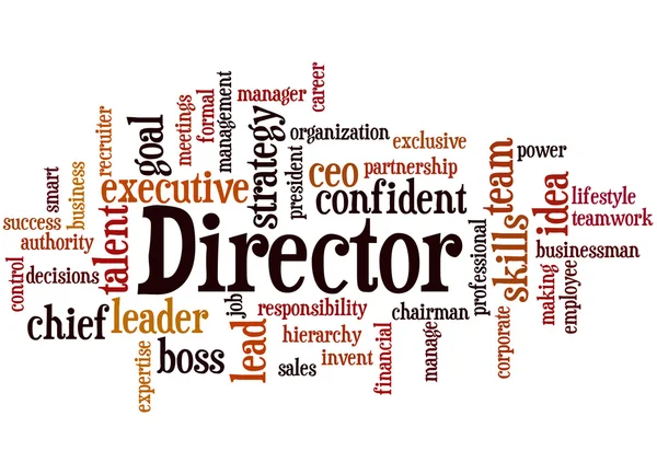 Directeur, word cloud concept 8 — Stockfoto