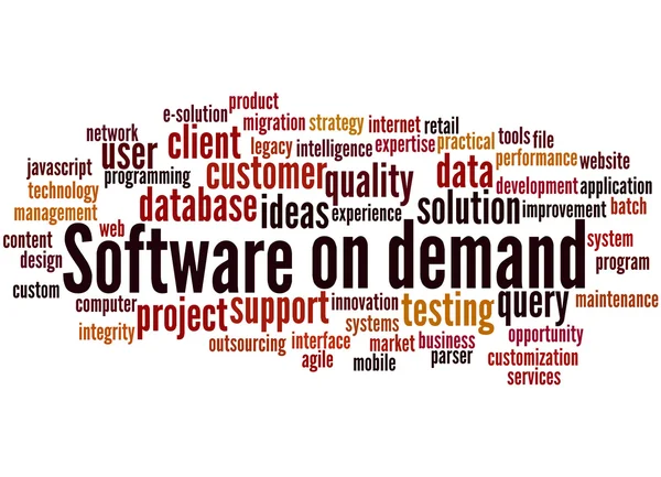 Software sob demanda, conceito de nuvem de palavras 6 — Fotografia de Stock