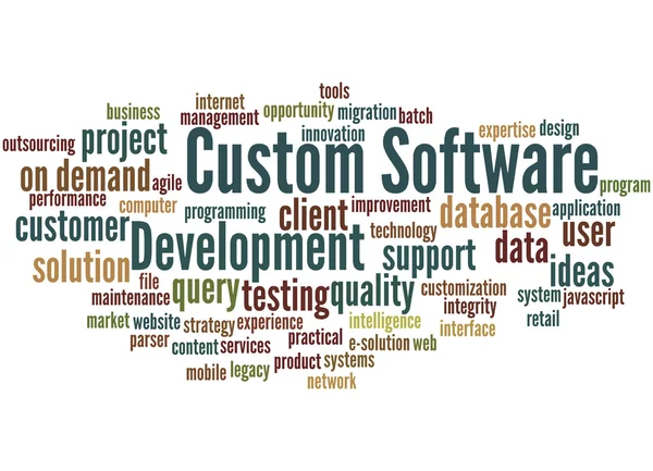 Sviluppo software personalizzato, concetto di cloud word 2 — Foto Stock