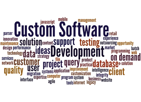 Kundenspezifische Softwareentwicklung, Word Cloud Konzept 8 — Stockfoto