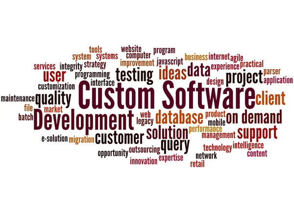 Aangepaste Softwareontwikkeling, word cloud concept 9 — Stockfoto