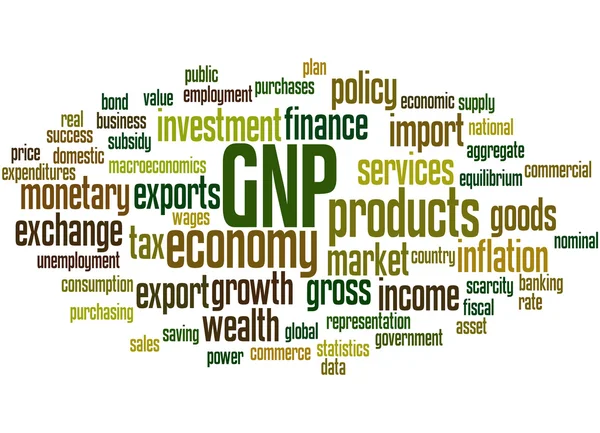 PNB - Producto nacional bruto, concepto de nube de palabras 3 — Foto de Stock