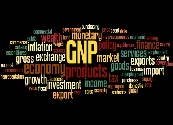 PNB - Produto nacional bruto, conceito de nuvem de palavras 5 — Fotografia de Stock