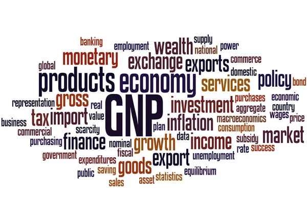 PNB - Producto nacional bruto, concepto de nube de palabras 7 — Foto de Stock