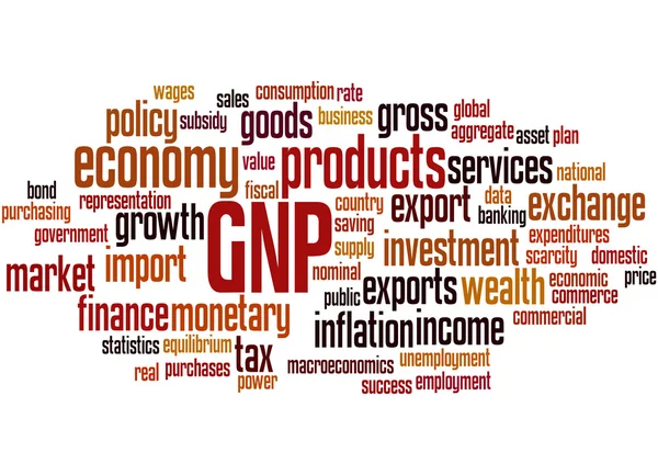 PNB - Produto nacional bruto, conceito de nuvem de palavras 8 — Fotografia de Stock