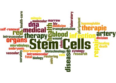 Stem cells, word cloud concept 5 clipart