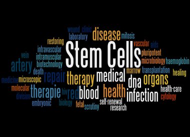 Stem cells, word cloud concept clipart
