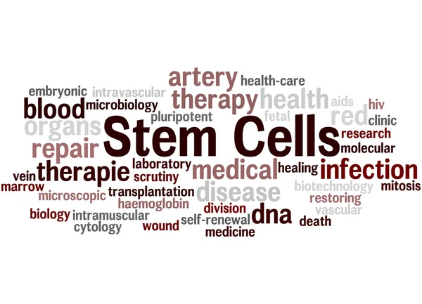 Стволовые клетки, понятие облака слова 6 — стоковое фото