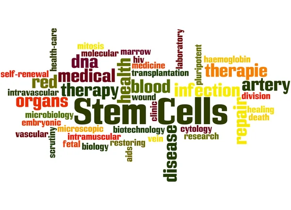 Őssejtek, szó felhő fogalmát 5 — Stock Fotó