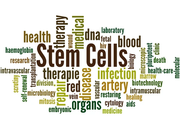 Стовбурові клітини, концепція хмарного слова 2 — стокове фото