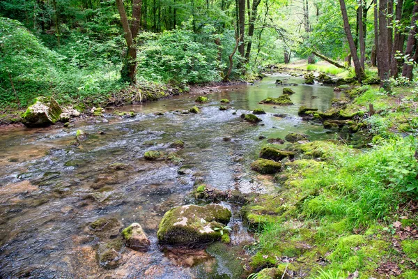 セルビアソコバニャ州オズレン山の森川モラヴィツァ — ストック写真