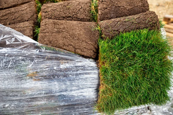 Fresh Stacks Sod Rolls Pallet New Lawn Selective Focus — Stock Photo, Image