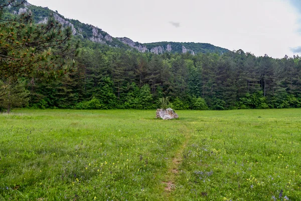 Pietra Dell Amore Sulla Montagna Ozren Grande Singolo Masso Mezzo — Foto Stock