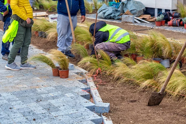 Workers installing flower beds in the city park. Concept of beautification of the garden. Selective focus. — Stock Image Workers Installing Flower Beds City Park Concept Beautification Garden Selective Stock Image