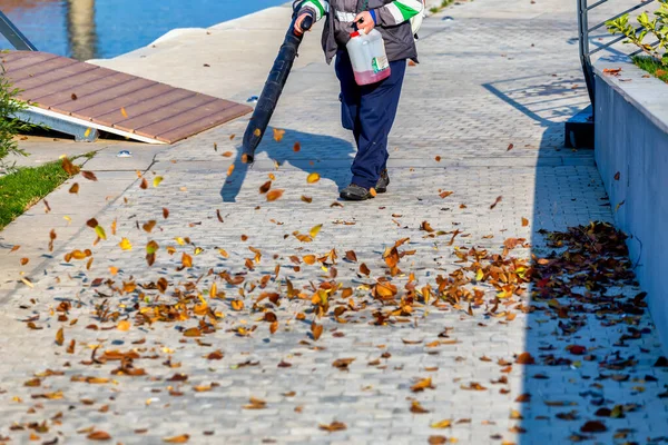 Lavoratore Che Soffia Foglie Cadute Nel Parco — Foto Stock