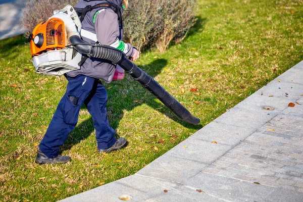 Worker Blower Backpack Blowing Fallen Leaves Park — Stock Photo, Image