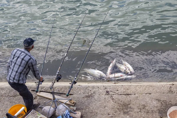 Belgrada Serbia Julio 2020 Pescador Con Pescado Capturado Cebo Junto —  Fotos de Stock