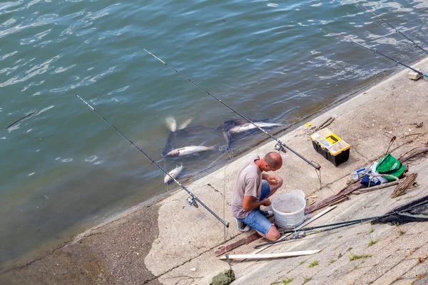 Belgrade Serbia July 2020 渔夫带着捕到的鱼 在萨瓦河边捕到新的河鱼 成功的捕鱼 — 图库照片