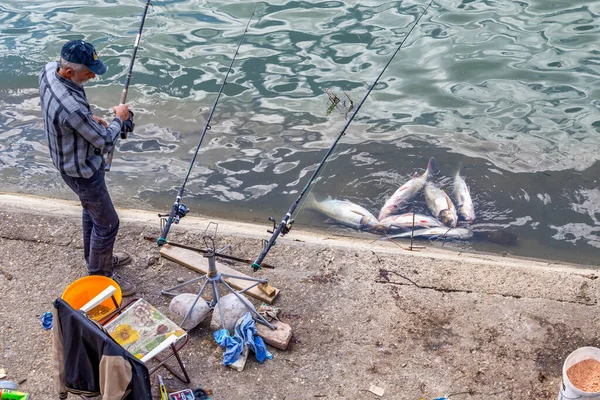 Belgrade Serbia July 2020 Fisherman Freshly Caught River Fish River — Stock Photo, Image