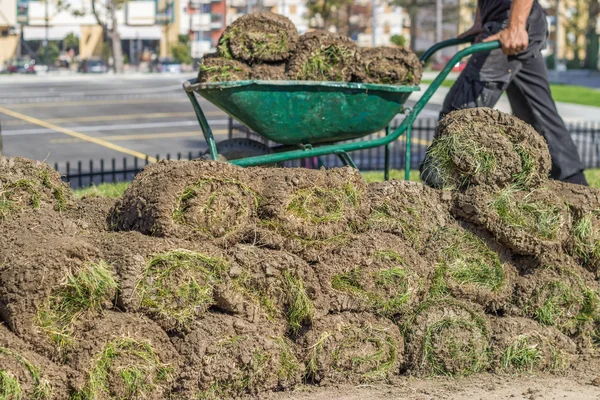 Tas de rouleaux de gazon pour l'installation de nouvelles pelouses — Photo