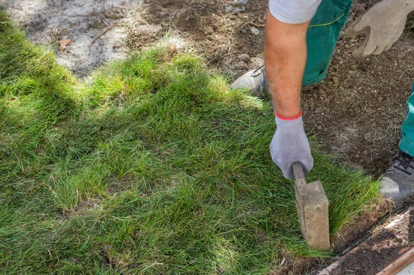 Worker installing sod 2 — Stock Photo, Image