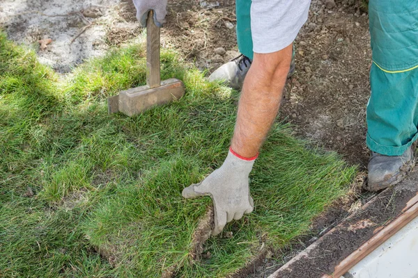 Worker installing sod 3 — Stock Photo, Image