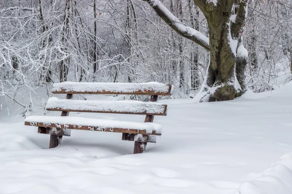 Verschneite hölzerne Sitzbank im Park 3 — Stockfoto