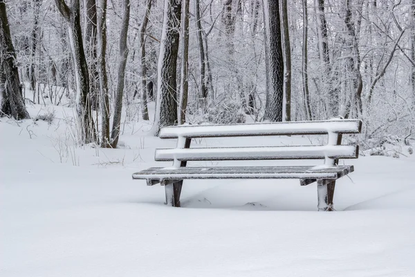 Schneebedeckte hölzerne Sitzbank im Park — Stockfoto