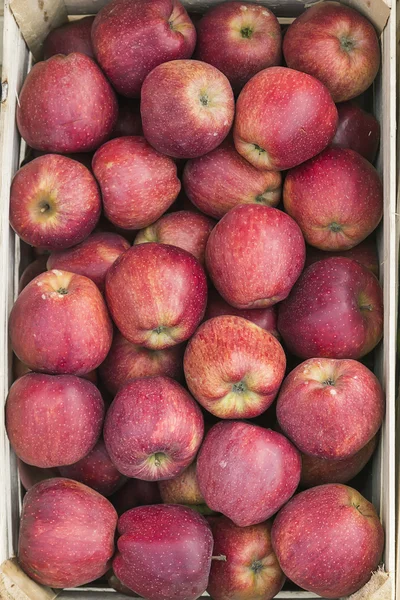 Apples in crate — Stock Photo, Image