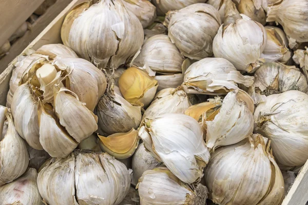 Big garlic heads background 2 — Stock Photo, Image