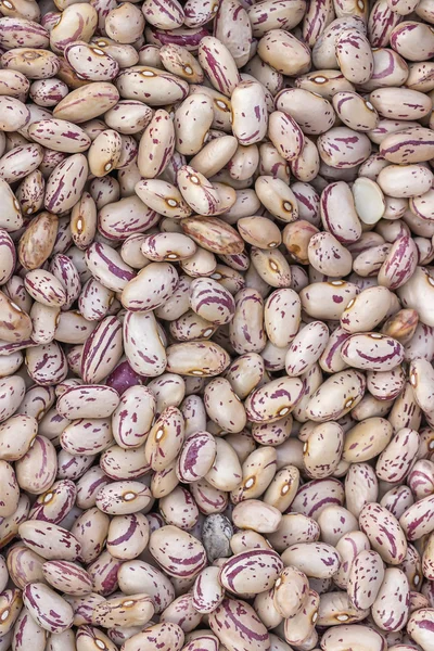 Pinto beans background — Stock Photo, Image