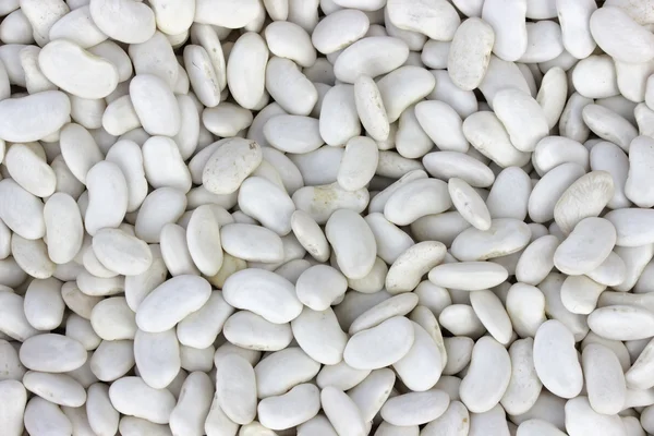 White beans background — Stock Photo, Image