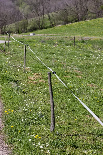 Filo elettrico di recinzione su un prato verde — Foto Stock