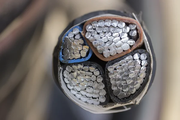 Cross section of black industrial underground cable 2 — Stock Photo, Image