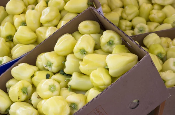 Boxes of yellow pepper — Stock Photo, Image