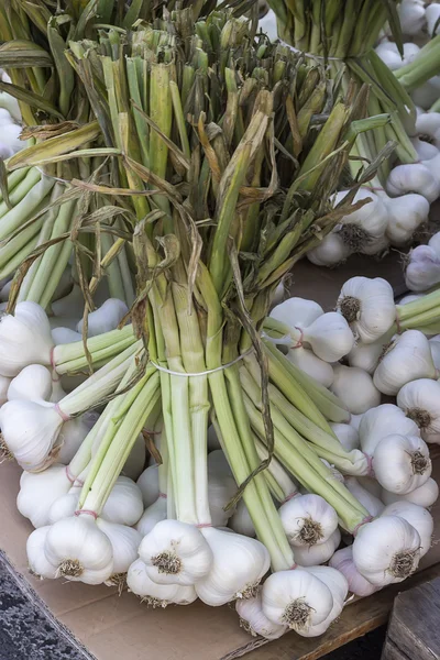 Cebule czosnku w rynku farmer 2 — Zdjęcie stockowe